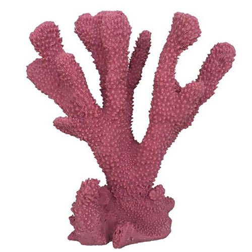 Weco, Weco Products South Pacific Coral Cats Paw Ornament, Rose, 1 Each/Medium