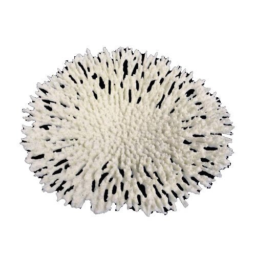 Weco, Weco Products South Pacific Coral Round Tabletop Ornament, White, 1 Each/Large