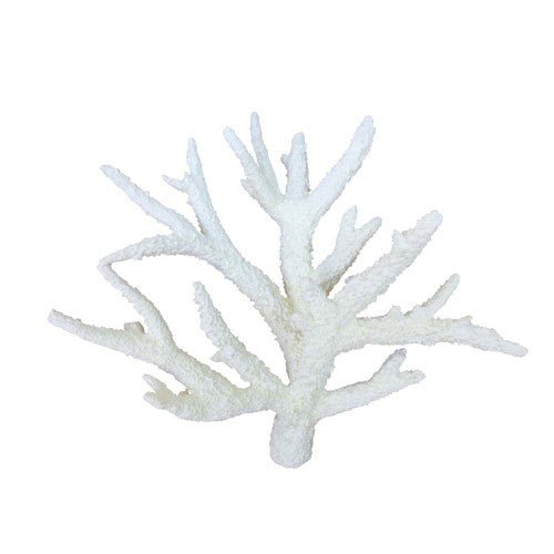 Weco, Weco Products South Pacific Coral Staghorn Ornament, White, 1 Each/Medium